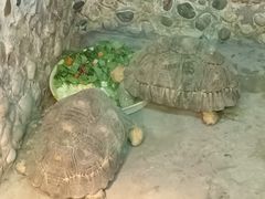 -上海大自然野生昆虫馆(东方明珠·爬宠昆虫探索中心)