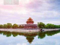 -乖乖宠物医院·猫科·急重症中心(车站北路分院)