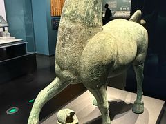 -广西壮族自治区博物馆