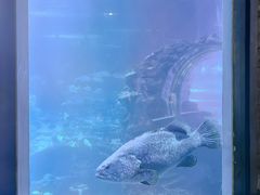 -太平洋海底世界