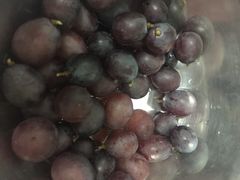 海堤葡萄园-海堤葡萄园中小学生研学基地