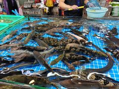 -都斛海鲜街