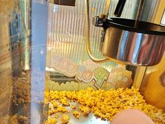 -老板恋上鱼(振华商厦店)