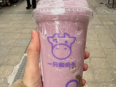 -一只酸奶牛(摩根吾悦广场店)