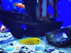 -成都浩海立方海洋公园