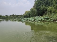 -云龙湖旅游景区