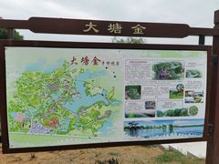 -大塘金香草谷