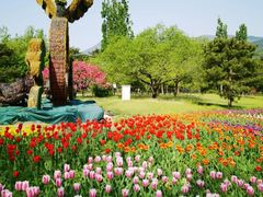 -国家植物园