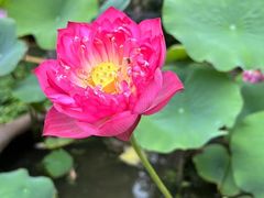 -西安大兴善寺
