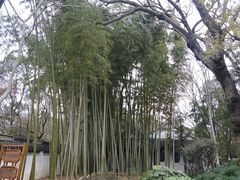 -秋霞圃