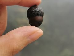 -终南山南五台景区