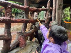 -长鹿旅游休博园