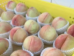 -老袁家蜜桃农场·阳山水蜜桃