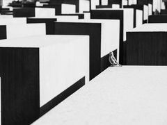 -欧洲被害犹太人纪念碑