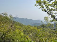 -大岭沟猕猴桃谷风景区