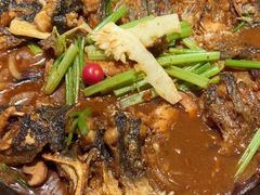 -老板恋上鱼(恒隆广场店)