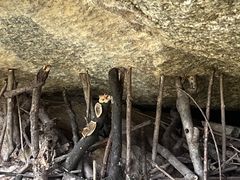 -秦岭终南山世界地质公园翠华山景区