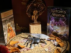 -雪灵魔法世界SHELLY’S TAROT(大良桂畔里店)
