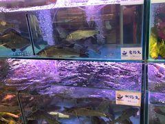 -胖姐渔村(中源大道店)