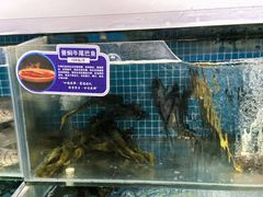 -胖姐渔村(中源大道店)