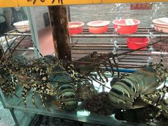 -寻味顺德·南记酒家·传统顺德菜·鱼生(广源路店)
