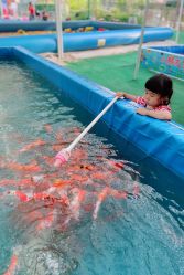 -萌宠亲子动物乐园(槐房万达店)