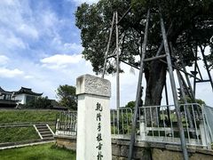 -观潮胜地公园
