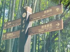 -莫干山风景区