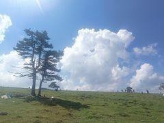 -芦芽山旅游度假区