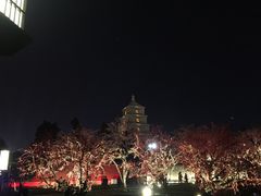 -大雁塔北广场音乐喷泉