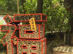 -天目湖山水园