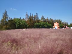 -嘉北郊野公园