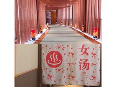 -重庆南山海昌汤都