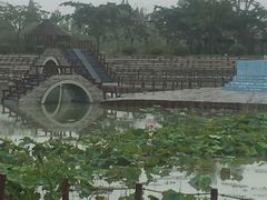 -泗洪洪泽湖湿地景区