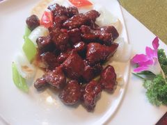 -碧丽宫大酒店(召稼楼店)
