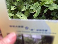 -广州花园酒店
