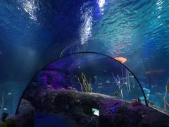 -沈阳海洋探索中心