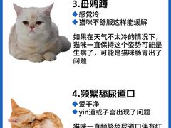 -美迦爱动物医院·夜诊(朝阳路诊疗中心)