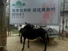 -袁家村关中印象体验地(大唐不夜城店)