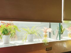 -青山上品咖啡·日式法兰绒手冲(高岛屋百货店)