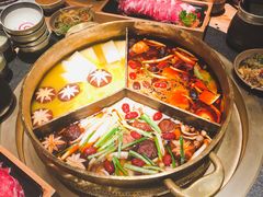 -湊湊火锅·茶憩(石家庄万象城店)