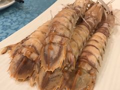 -御唐府海珊瑚主题餐厅