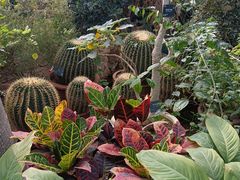 -国家植物园南园