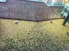 -重庆南山海昌汤都