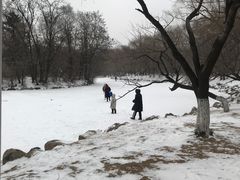 -二一九公园