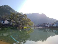 -鹿亭中村