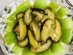 -好孕妈妈月嫂育儿嫂(锦江店)