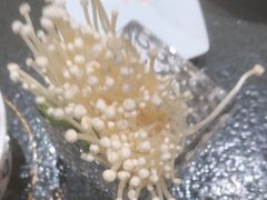 -蒙都43°9羊火锅(平庄店)
