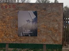 -辛庄国际文化艺术区