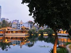 -荔湾湖公园